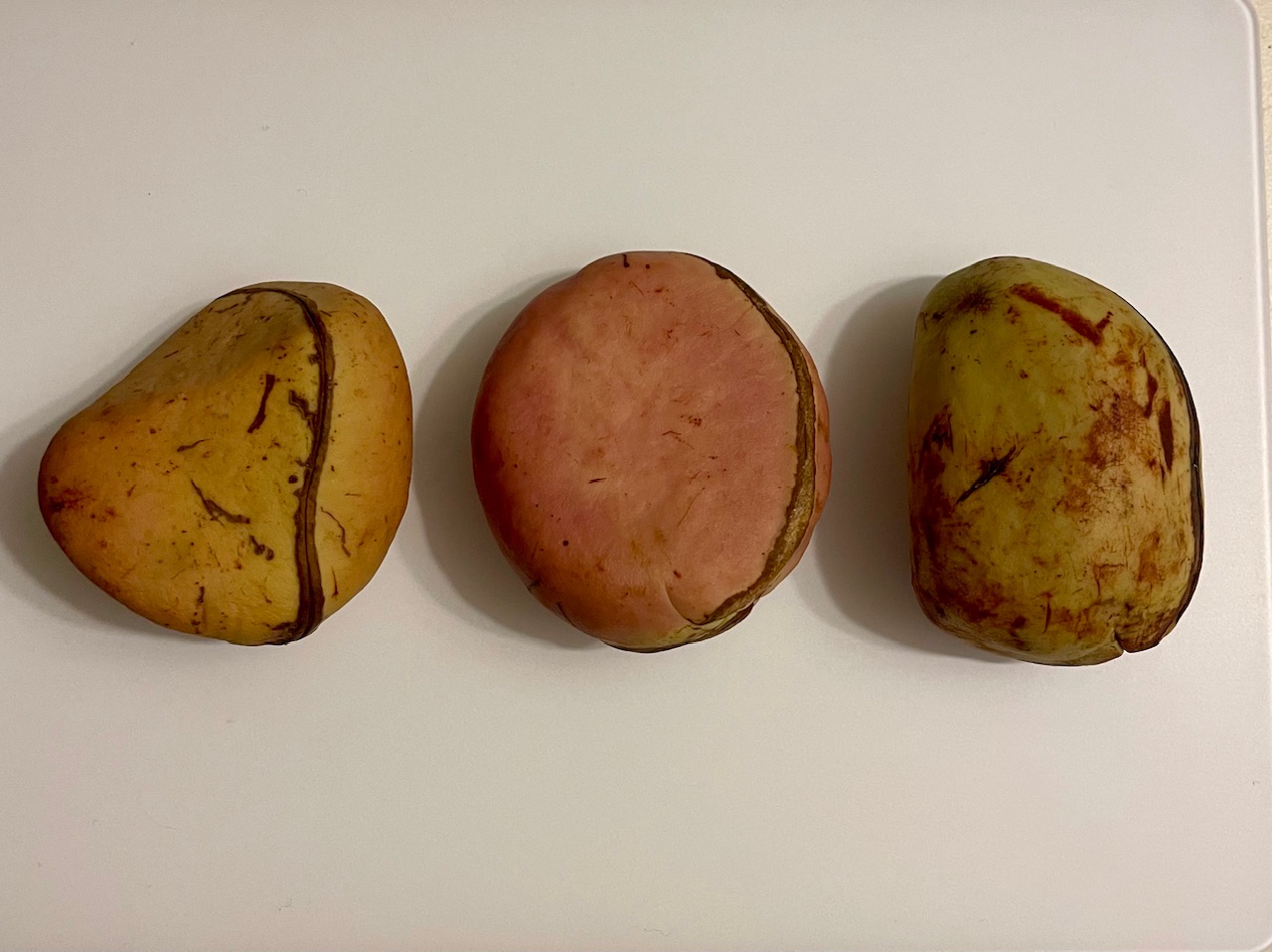 Орех кола